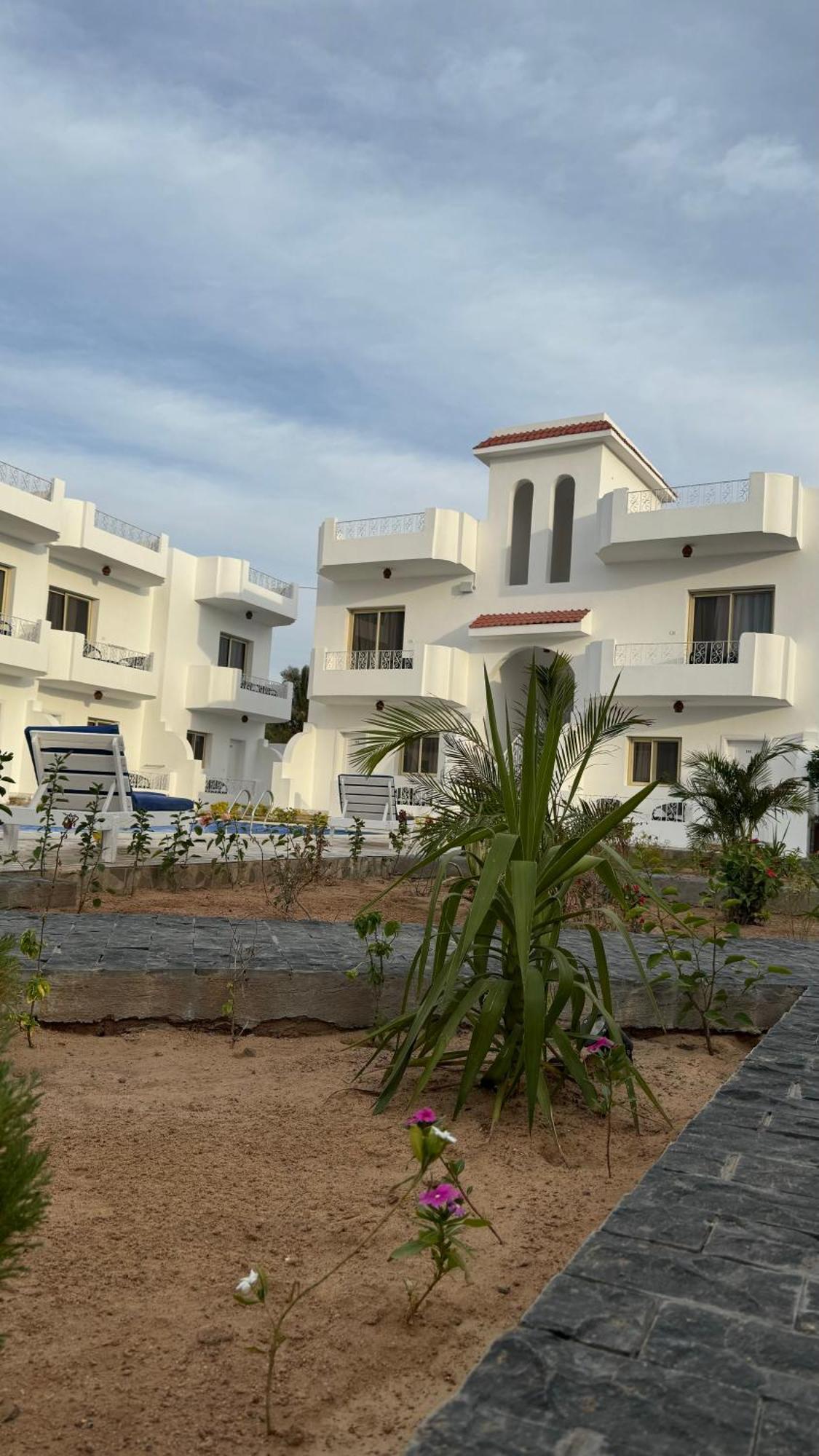 Desert Hotel Dahab Eksteriør billede